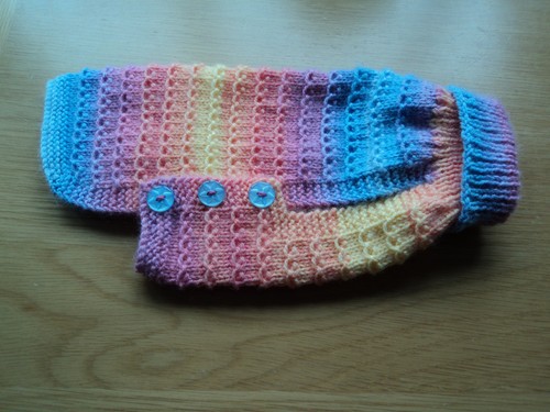 Hand knitteddog cat puppy - hand, knitteddog/cat/puppy