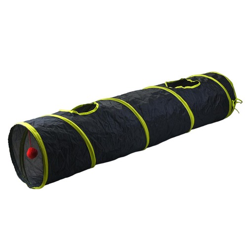 Cat tunnel agility training - cat,