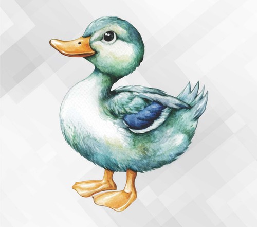 Watercolor mallard duck wall - duck,