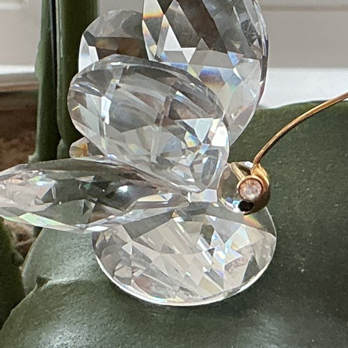 Swarovski crystal butterfly