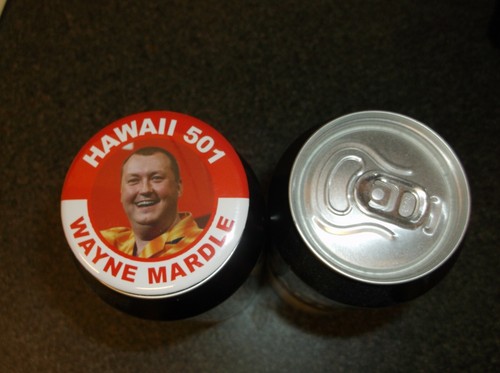 Wayne mardle hawaii 501 darts - mardle,