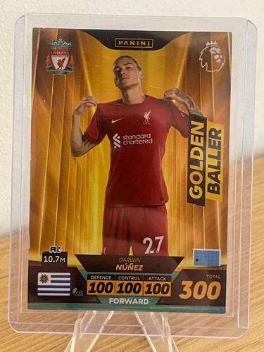Panini english premier - panini,