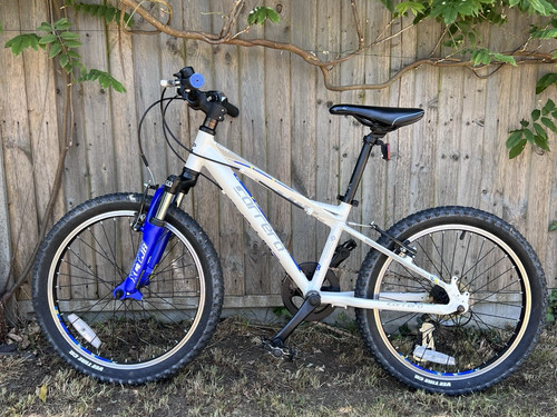 Carrera kids mountain bike - mountain,