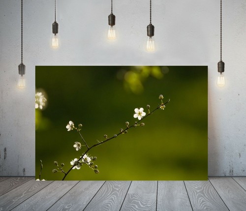 Floral blossom deep framed - 7, -deep