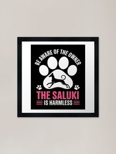 Saluki Owner Warning Harmless