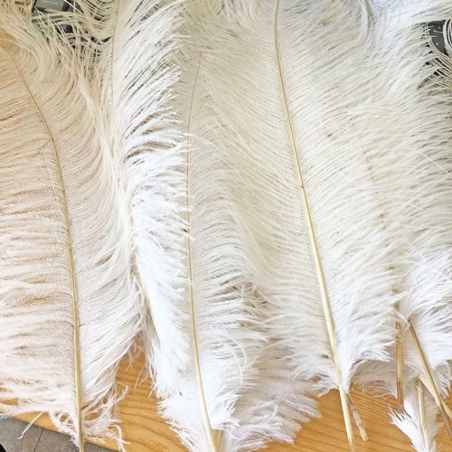 White ostrich feathers fancy - white,