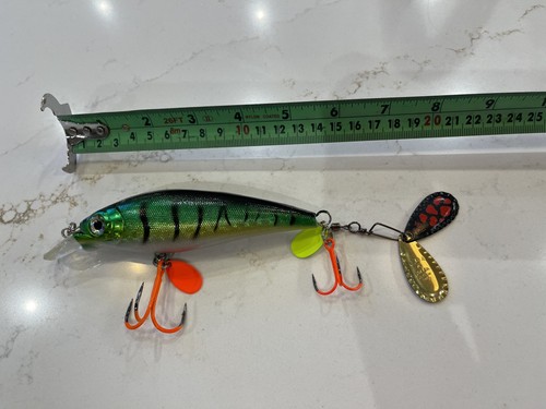 Rattling fatso perch - rattling,