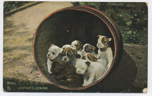 Mothers coming expectant - "mothers, coming"