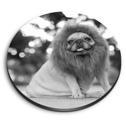 Round mdf magnets - mdf,