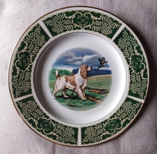 Vintage springer spaniel - springer,