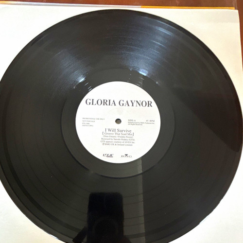 Gloria gaynor will survive - -,