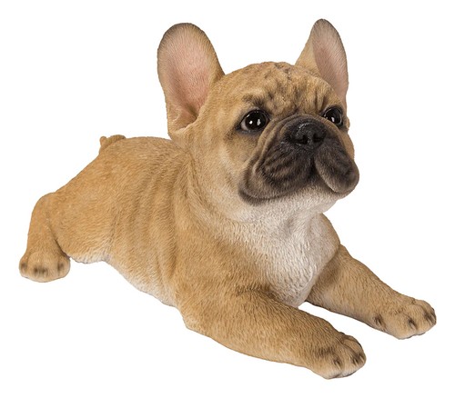 Vivid arts pet - vivid,