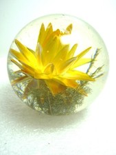 Spherical glass paperweight - spherical,
