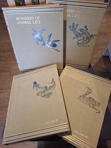 Wonders animal life volumes - of,