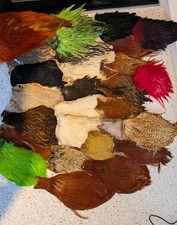Fly Tying Capes Multiple Dyed