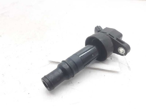 273012b100 ignition coil - 273012b100,