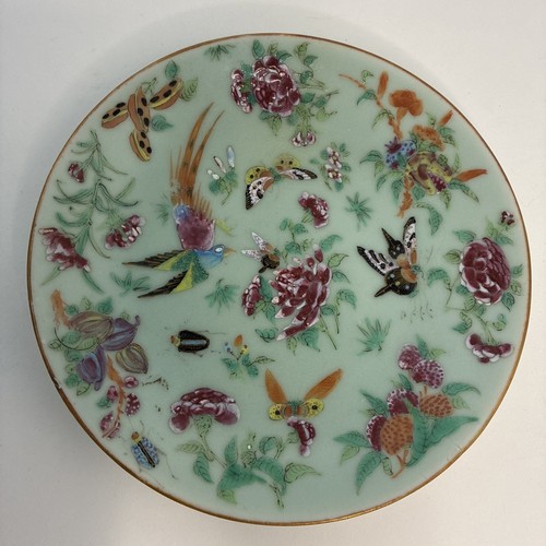 Chinese porcelain plate - porcelain,