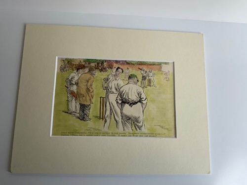 Hand coloured wood - hand,