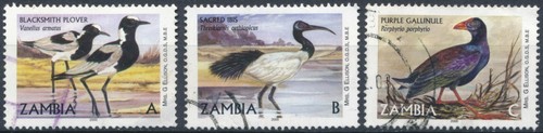 Birds zambia 2001 f - zambia,