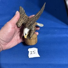 American White Tailed Eagle In