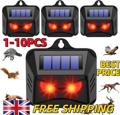 Solar motion sensor cat - solar,
