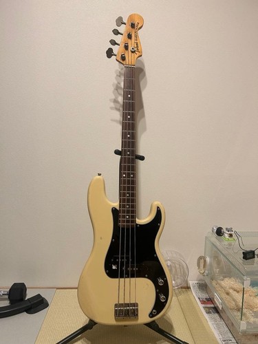 Tokai hard puncher plebe spa - tokai,