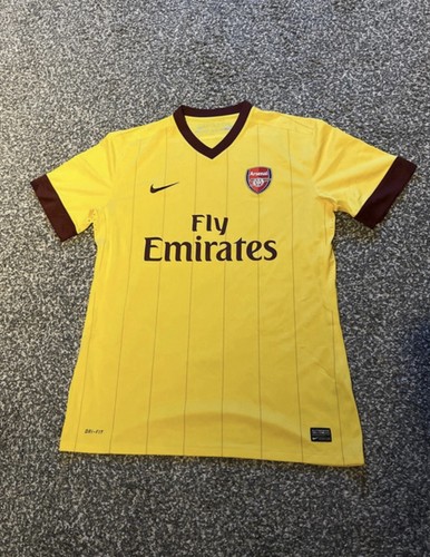Arsenal player issue 2010/11