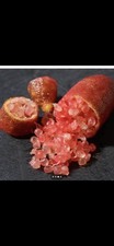Austrailian Red Finger Lime