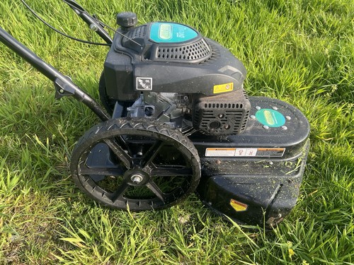 Webb wheeled 2022 strimmer - 2022,