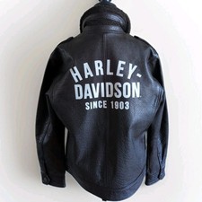 Harley-Davidson Auer Sherpa