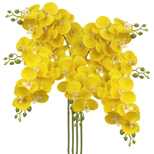 Dilatata inch yellow - dilatata,