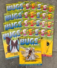  Real Life Bugs And Insects
