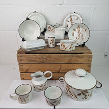 Midwinter Wild Oats & Creation