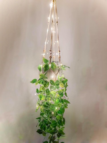 Packs fake hanging - packs,