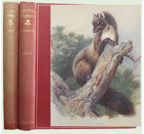 1920 british mammals - 1920/21,