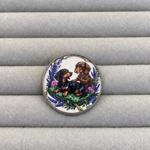 Beautiful dachshund dogs - dachshund,