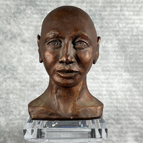 Bronzed terracotta bust of - bust,