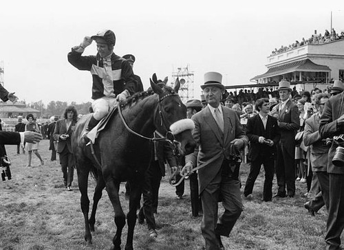 Racehorse mill reef - ridden, by