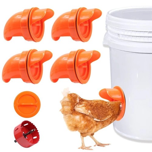 Diy automatic chicken - diy,