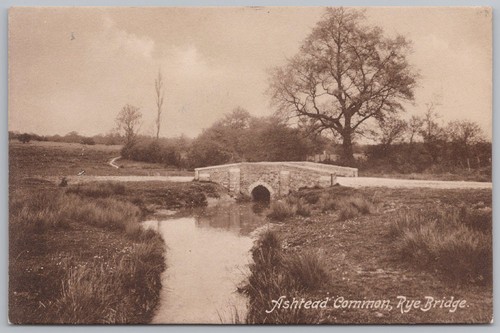 Ashtead common rye bridge - common,,