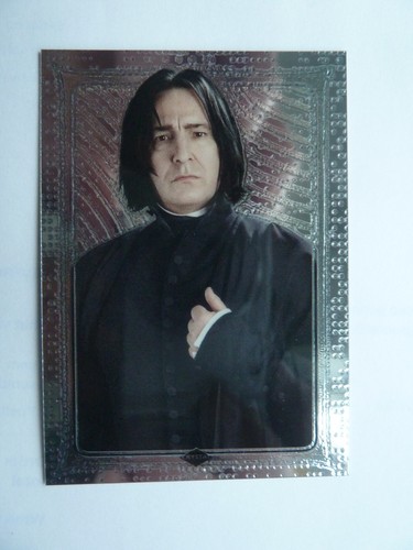 Panini harry potter magical - panini,