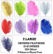 PACK OF 2 LARGE OSTRICH