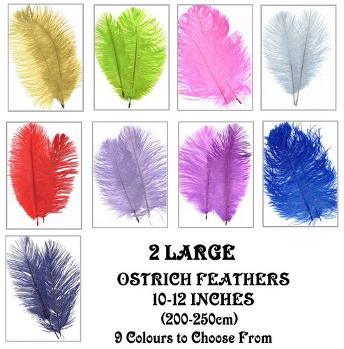 Pack large ostrich - of, 2