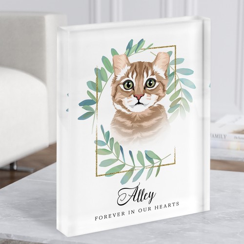 Ginger tabby cat - ginger, memorial