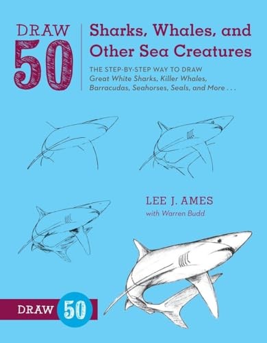 Draw sharks whales and - sharks,, whales,