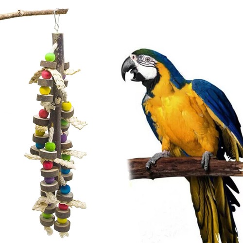 Giant parrot swing - parrot, large