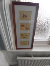 Vintage Mounted Fly Fishing Flies In Wooden Frame Fishing Hooks