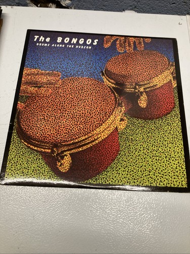 Bongos drums along - bongos, the