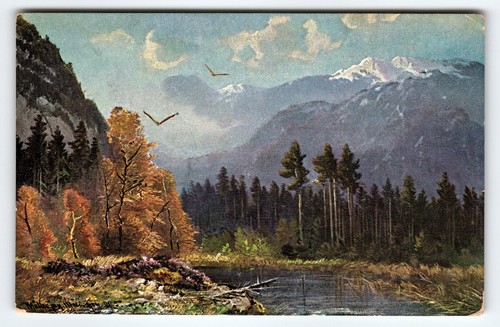 Signed muller artist - muller,