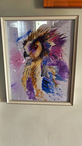 Framed owl bird - owl,